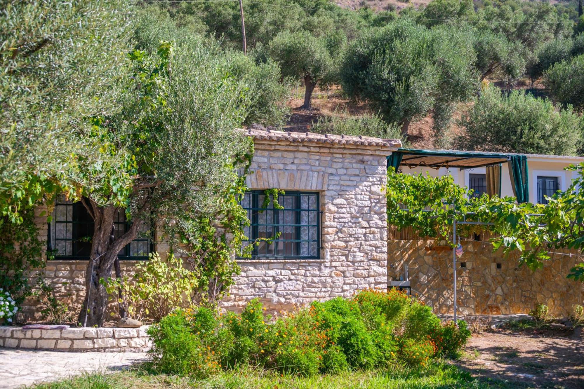 Liodentro - Olea Plataria Exterior foto