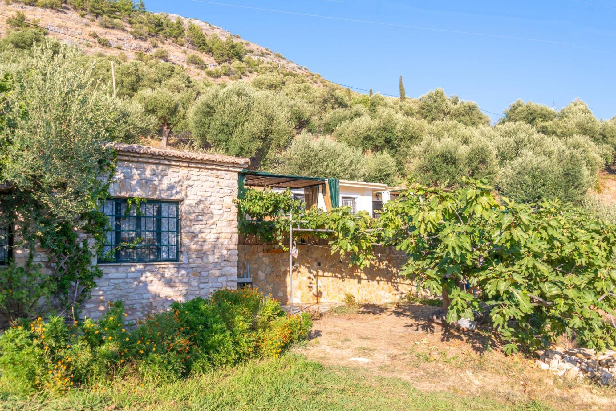 Liodentro - Olea Plataria Exterior foto